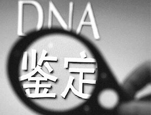 DNA亲子鉴定